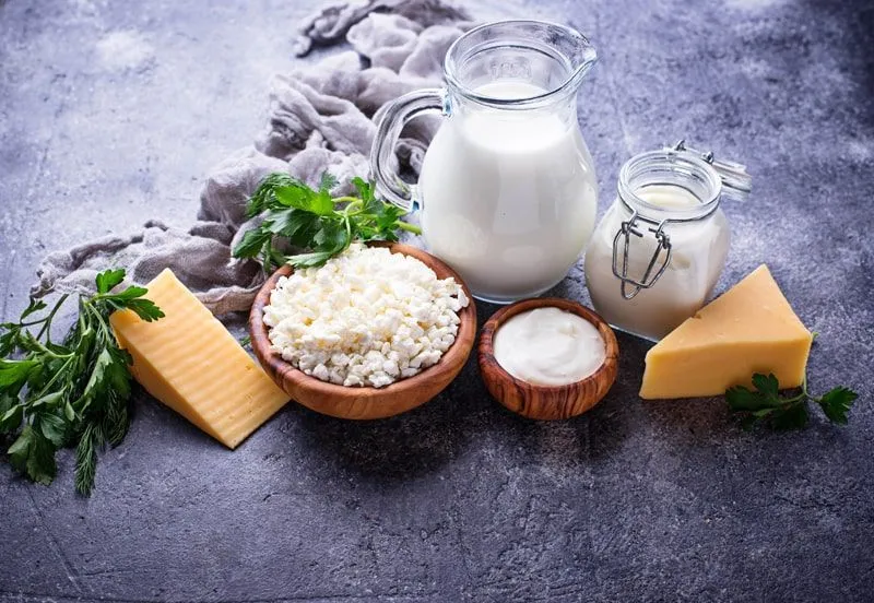 Как сохранить качество продуктов и «чистую» этикетку: научное обоснование применения защитных культур в молочной промышленности