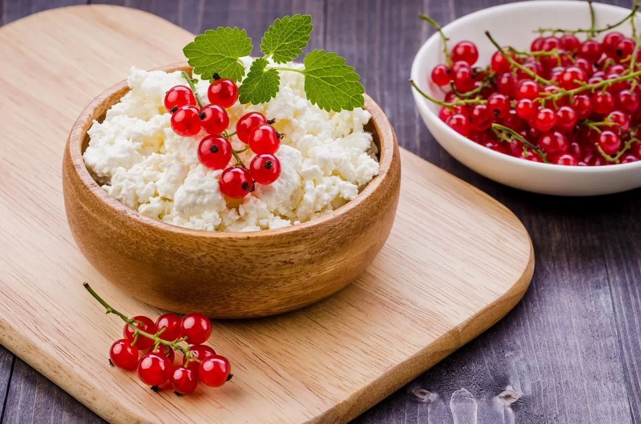 Производство творога: выбор заквасочных культур