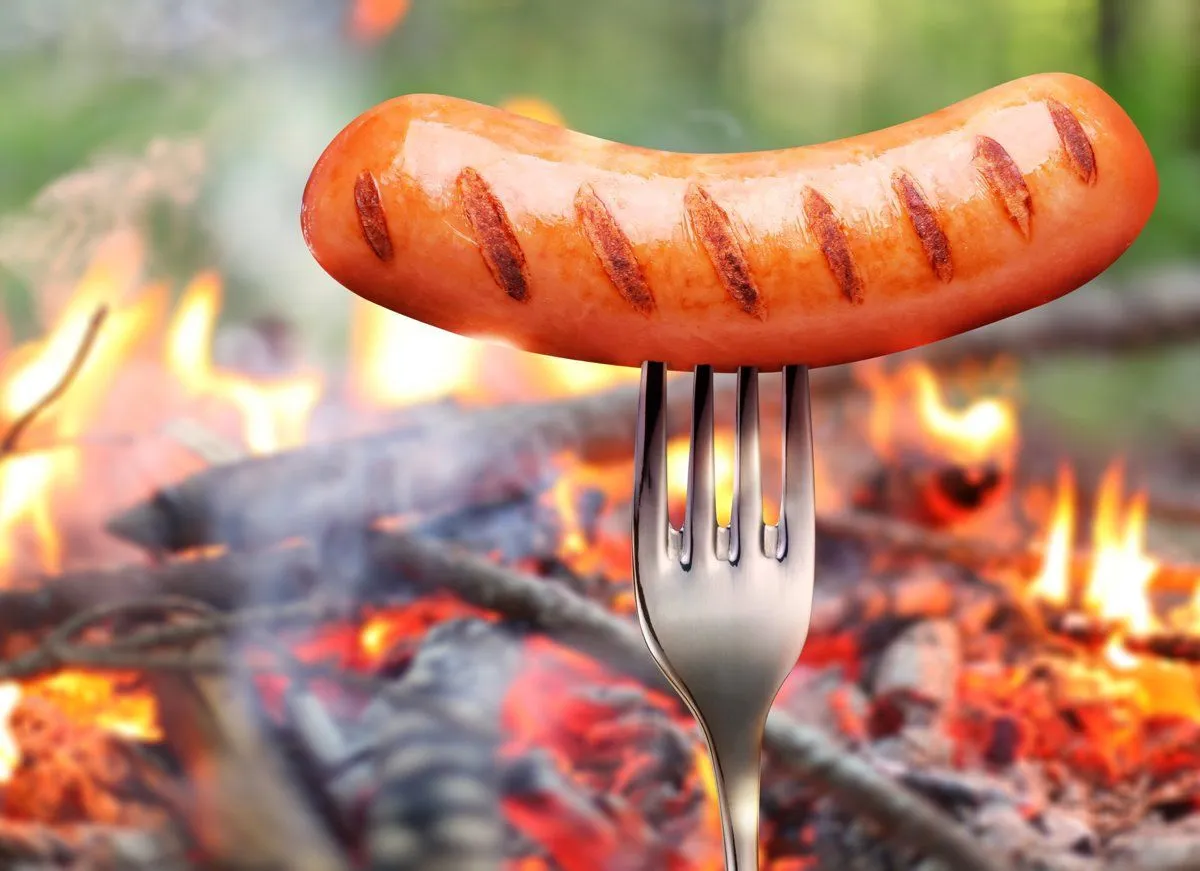 Снижает себестоимость продукции и формирует уникальный «дымный» профиль — новинка для производителей мясных изделий!