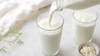 Кефирные закваски прямого внесения для производства кефира и кефирного продукта