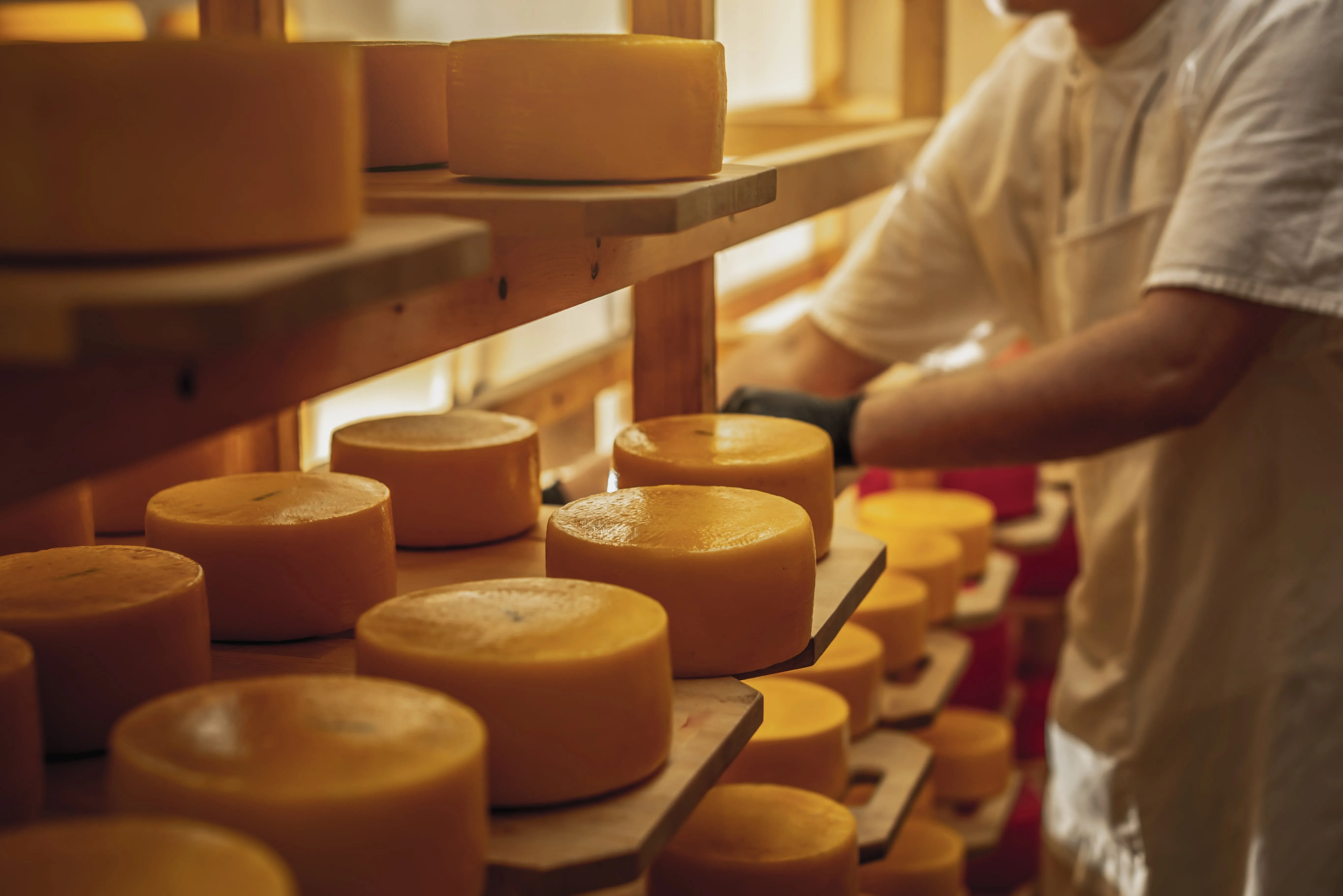 Повышение безопасности и срока годности кисломолочных продуктов и сыров без консервантов: защитная культура Profiline® PC 3.02 Golden Line®