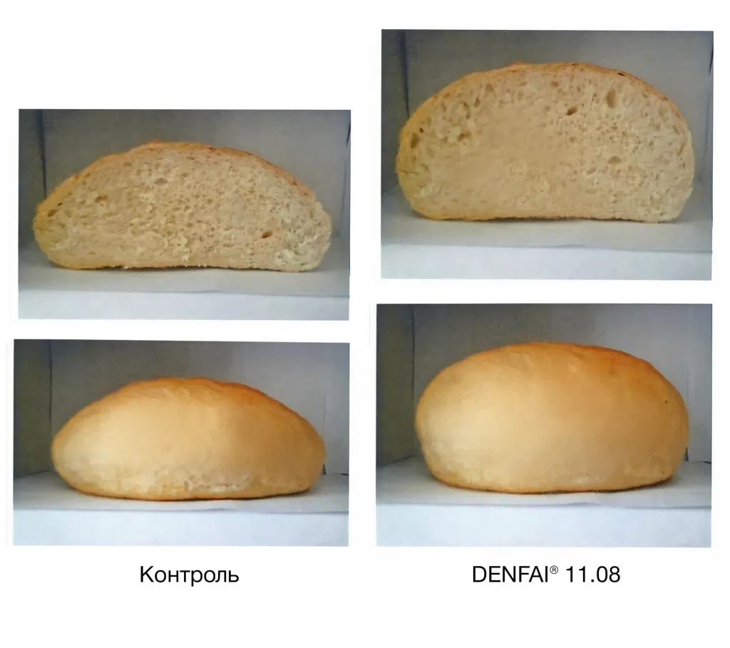 Структура мякиша хлеба после применения ТВС DENFAI®