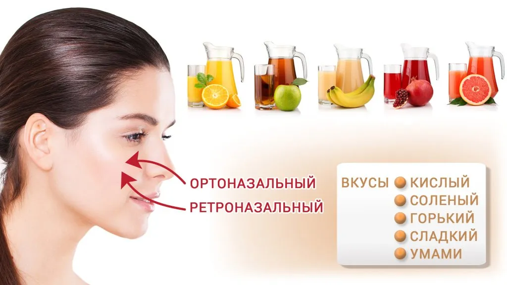 Способ восприятия ароматов человеком