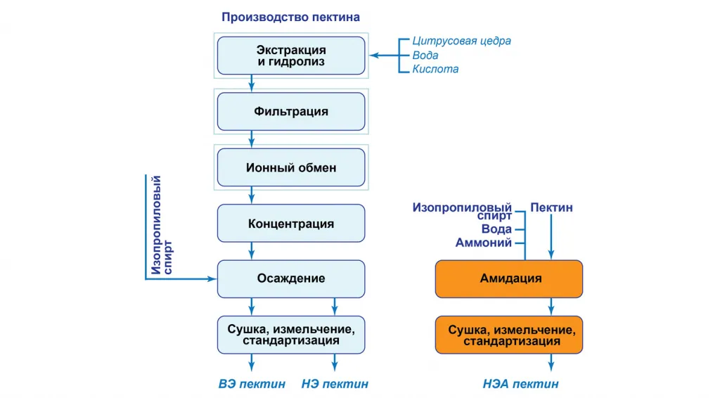 shema-proizvodstvo-pektina.jpg shema-proizvodstvo-pektina.jpg